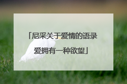 尼采关于爱情的语录 爱拥有一种欲望
