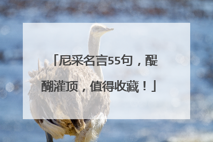 尼采名言55句,醍醐灌顶,值得收藏!