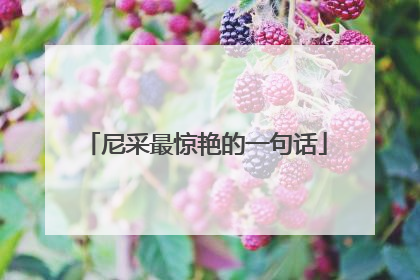 尼采最惊艳的一句话