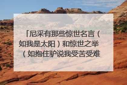尼采有那些惊世名言（如我是太阳）和惊世之举（如抱住驴说我受苦受难的兄弟啊……）？
