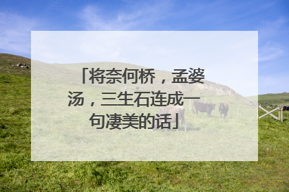 将奈何桥,孟婆汤,三生石连成一句凄美的话
