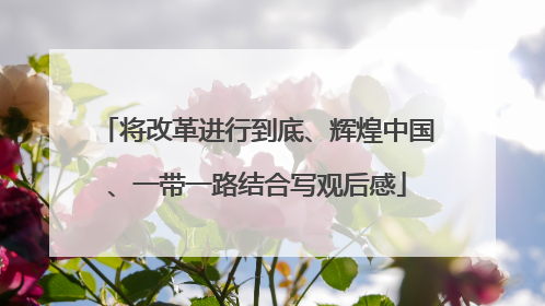 将改革进行到底、辉煌中国、一带一路结合写观后感