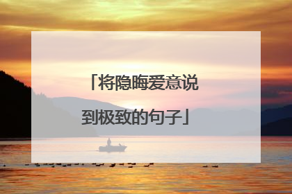 将隐晦爱意说到极致的句子