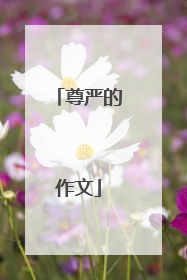 尊严的作文