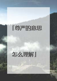 尊严的意思怎么理解