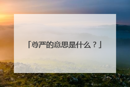 尊严的意思是什么?