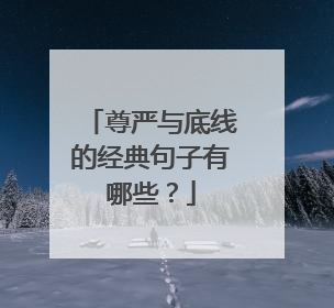 尊严与底线的经典句子有哪些？