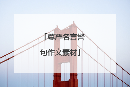 尊严名言警句作文素材