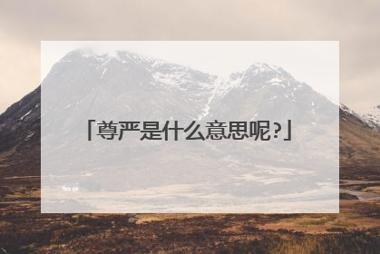 尊严是什么意思呢?