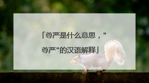 尊严是什么意思,