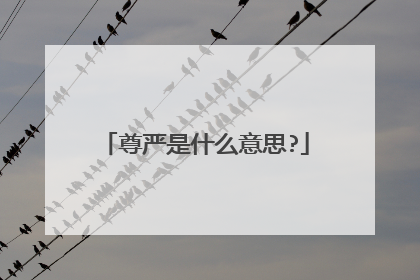 尊严是什么意思?