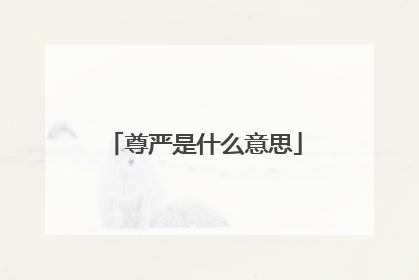 尊严是什么意思