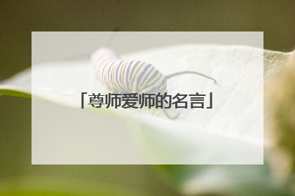 尊师爱师的名言
