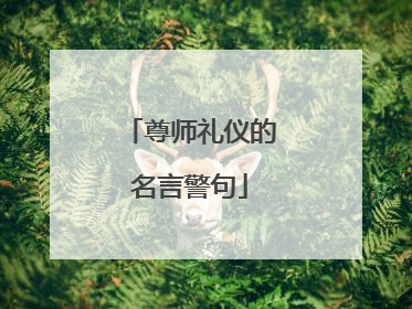 尊师礼仪的名言警句