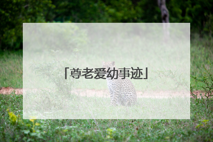 尊老爱幼事迹