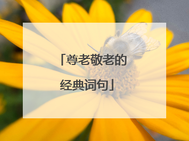 尊老敬老的经典词句