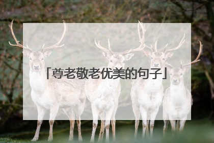 尊老敬老优美的句子