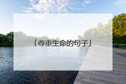 尊重生命的句子