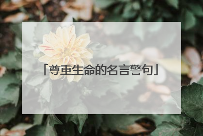 尊重生命的名言警句