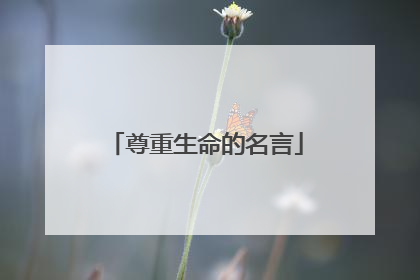 尊重生命的名言