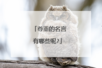 尊重的名言有哪些呢?