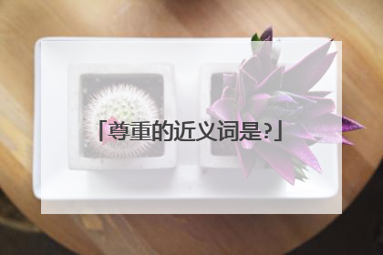 尊重的近义词是?