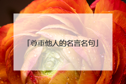 尊重他人的名言名句