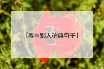 尊重别人精典句子