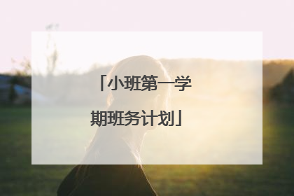 小班第一学期班务计划