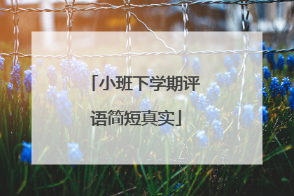 小班下学期评语简短真实