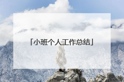 小班个人工作总结