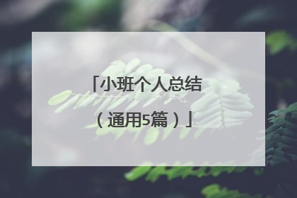 小班个人总结（通用5篇）