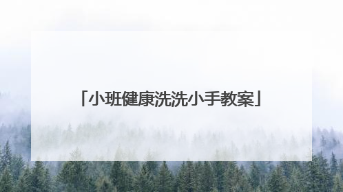 小班健康洗洗小手教案