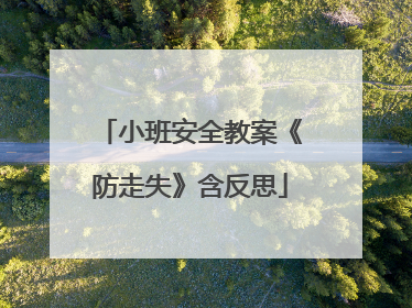 小班安全教案《防走失》含反思