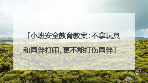 小班安全教育教案:不拿玩具和同伴打闹,更不能打伤同伴