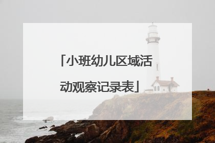 小班幼儿区域活动观察记录表