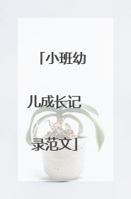 小班幼儿成长记录范文