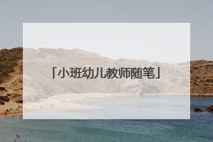 小班幼儿教师随笔