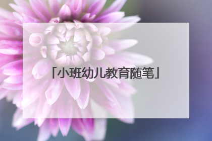 小班幼儿教育随笔