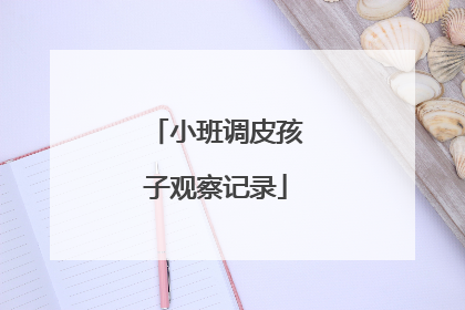 小班调皮孩子观察记录