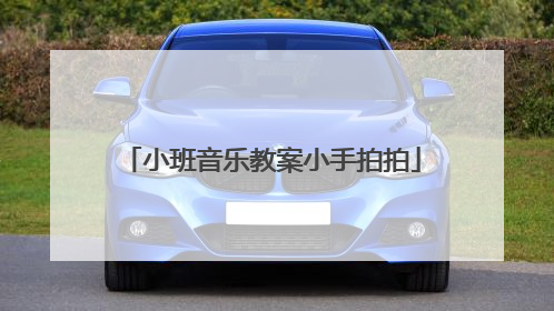 小班音乐教案小手拍拍