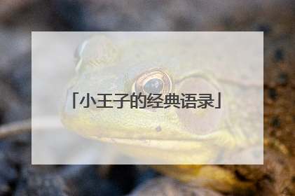 小王子的经典语录