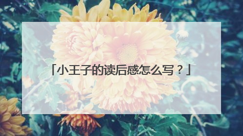 小王子的读后感怎么写?