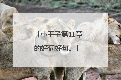 小王子第11章的好词好句。