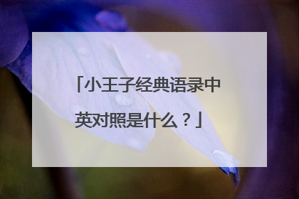 小王子经典语录中英对照是什么?