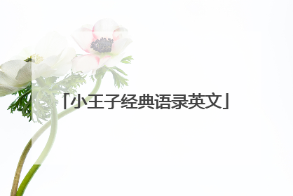 小王子经典语录英文