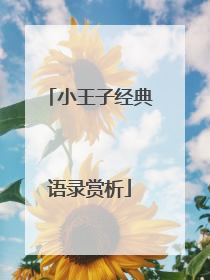 小王子经典语录赏析