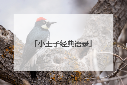 小王子经典语录