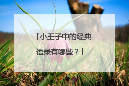 小王子中的经典语录有哪些?