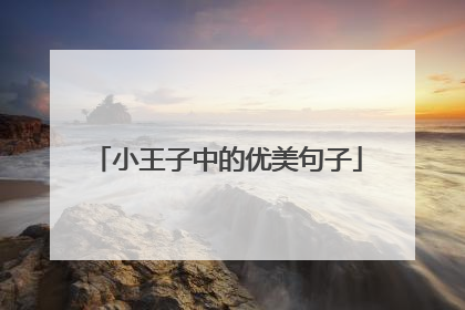 小王子中的优美句子